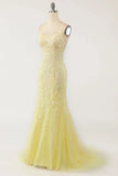 Mermaid Lace Long Prom HZ0307