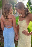 LTP1737,Mermaid Straps Long Lace Prom Dress with Lace-Up HZ0307