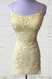 Cute Lace Tight Homecoming Dresses Tie Up Back Graduation Dress, HZ0307