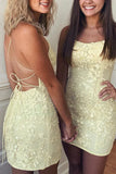 Cute Lace Tight Homecoming Dresses Tie Up Back Graduation Dress, HZ0307
