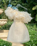Ivory Beaded Off The Shoulder Homecoming Dresses, HZ0307
