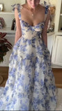 LTP1617,Fairy Tales Printed Sleeveless A-Line Prom Dresses Long Evening Party HZ0307
