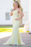 Mermaid Lace Long Prom HZ0307